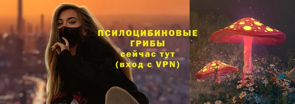 PSILOCYBIN Лиски