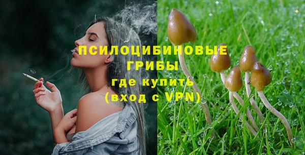 PSILOCYBIN Лиски