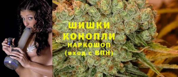 шишки Липки