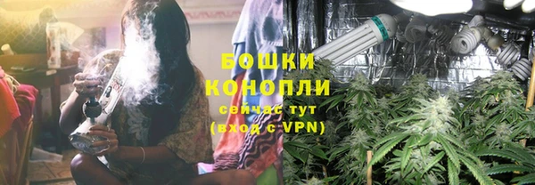 PSILOCYBIN Лиски
