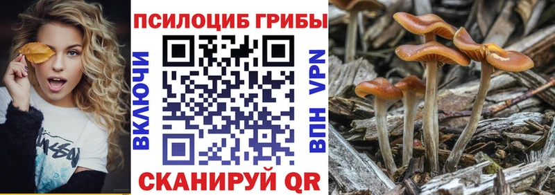 гидра ссылка наркошоп Владикавказ Псилоцибиновые грибы ЛСД