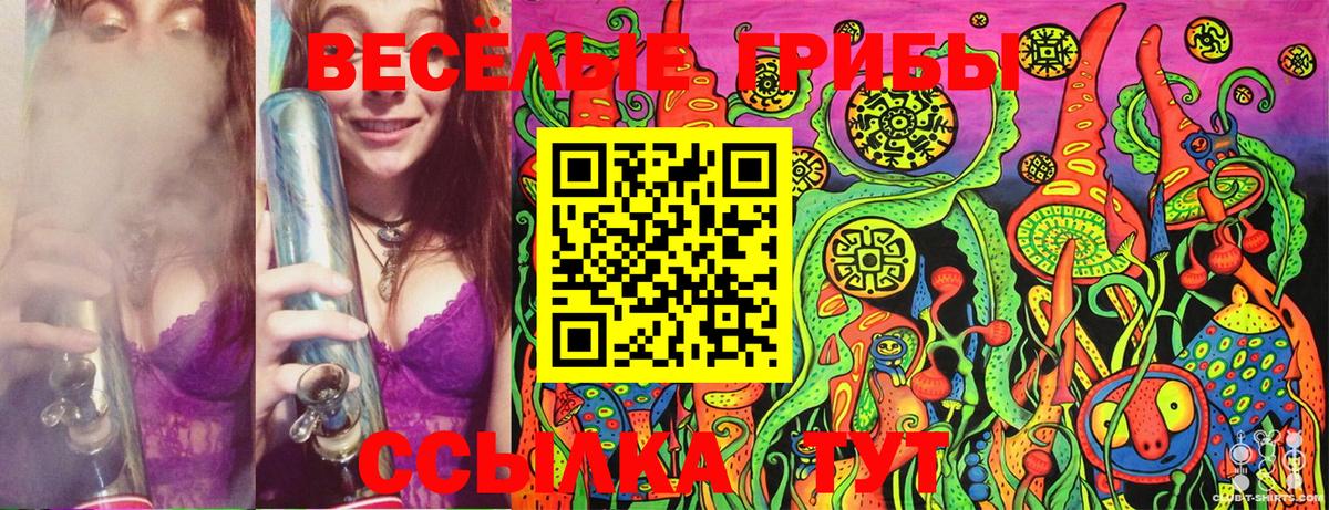 Владикавказ  Псилоцибиновые грибы GOLDEN TEACHER  Вход с VPN 