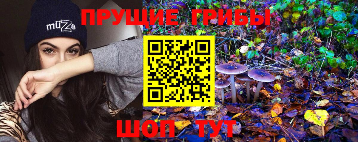 Псилоцибиновые грибы GOLDEN TEACHER Владикавказ