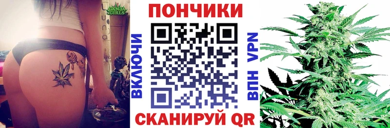 где купить   Владикавказ  Марихуана семена 