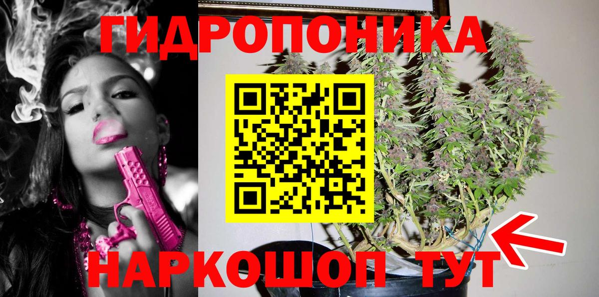 Бошки Шишки Amnesia  Каннабис тримм  Вход с VPN  Конопля гибрид  Владикавказ 